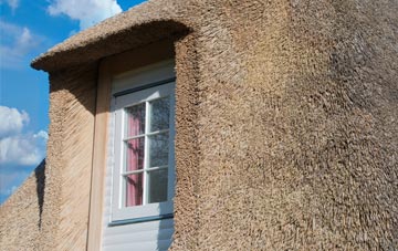 Geseilfa thatch roof disadvantages