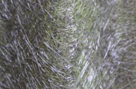 Geseilfa fibreglass roof work