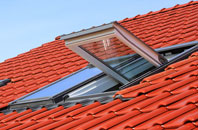 Geseilfa roof window